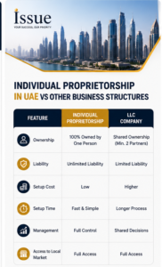 Individual Proprietorship